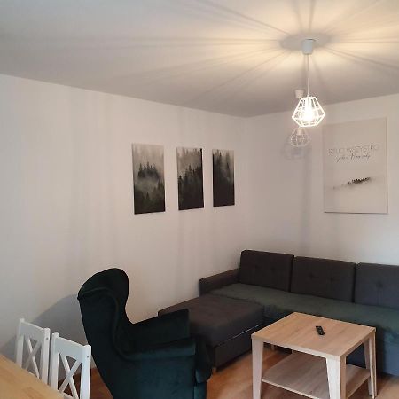 Apartament Aga Ustrzyki Dolne Zewnętrze zdjęcie