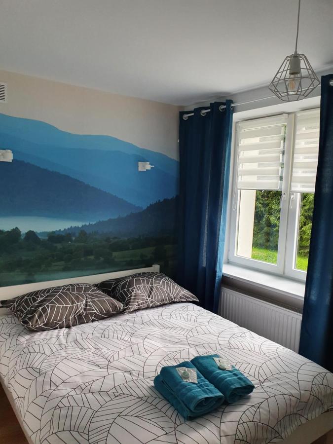 Apartament Aga Ustrzyki Dolne Zewnętrze zdjęcie