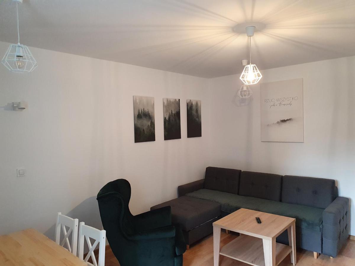 Apartament Aga Ustrzyki Dolne Zewnętrze zdjęcie